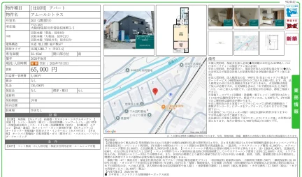 アムールシトラス 203号 0