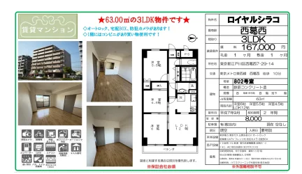 ロイヤルシラコ 802号 0