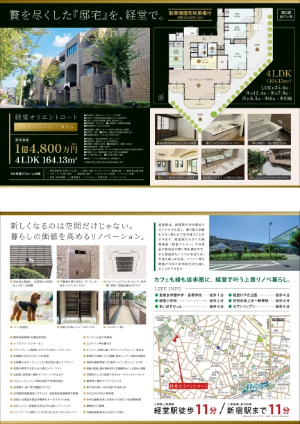 オリエントコート 105号 0