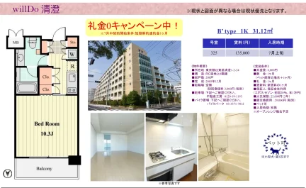 清澄 325号 0