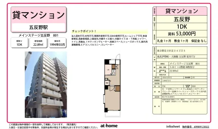 メインステージ五反野 801 801 0