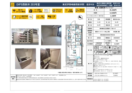 DIPS西新井 203号室 203号 0