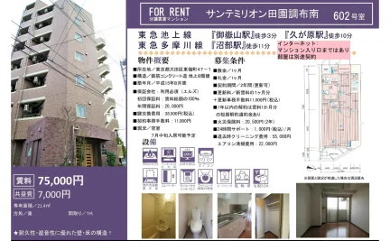サンテミリオン田園調布南 602号 0