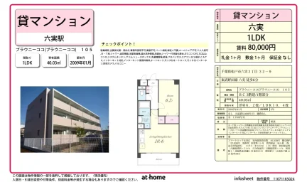 ブラウニーココ 0
