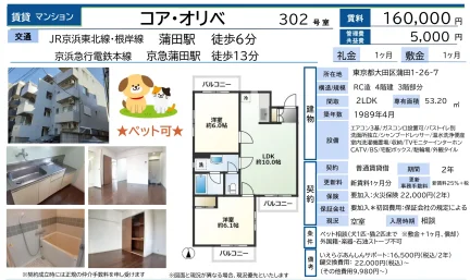 コア・オリベ 302号 0