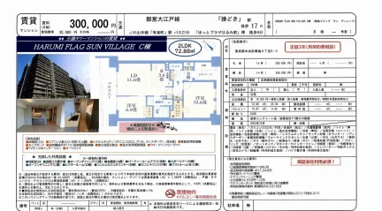 HARUMI FLAG SUN VILLAGE C棟 8号室 0