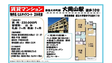 ヒルサイドコート 204号 0