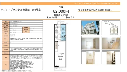 リブリブランシュ壱番館 305号 0