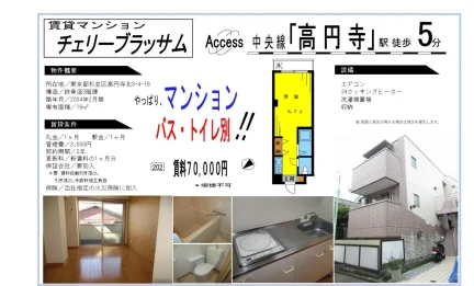 チェリーブラッサム 202 0