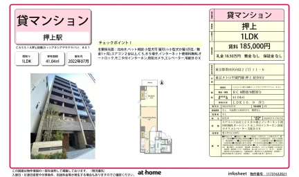 Modern 1LDK Condo in Mukojima 0