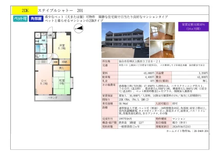 ステイプルシャトー 201号 0