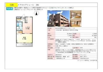 エクセルアシューレ 206 206号 0