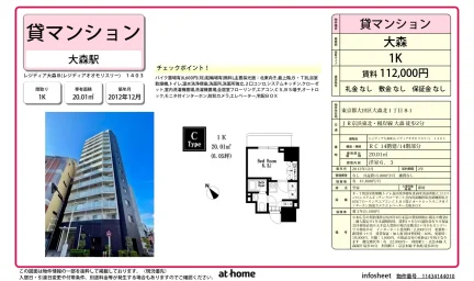 レジディア大森Ⅲ 0