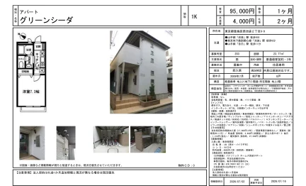 グリーンシーダ 203 0