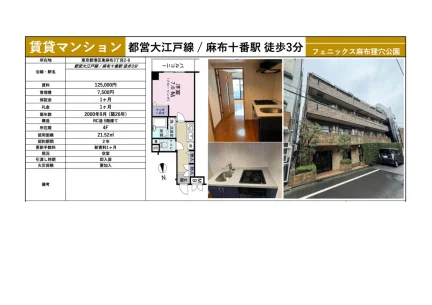 フェニックス麻布狸穴公園 4F 0