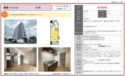 シェルグランデ椌木通 104 0