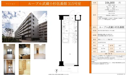 ルーブル武蔵小杉伍番館 315号 0