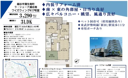 ラ・シェーナ越谷南ワイズウィング417 417号 0