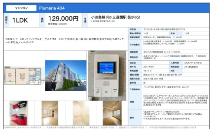Plumeria 404 404号 0