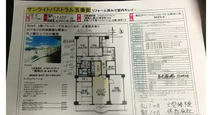 新松戸サンライトパストラル五番街 802号室 0