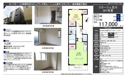 コラージュ玉川 301号 0