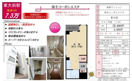 弥生コーポシエスタ 201号室 0