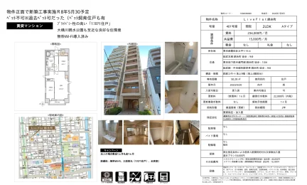 LiveFlat錦糸町 401号 0