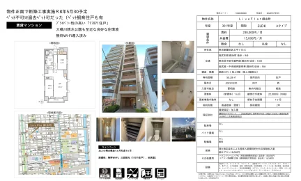 LiveFlat錦糸町 301号 0