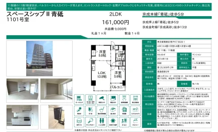 スペースシップII 青砥 1101号室 1101号 0