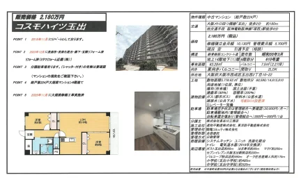 Vintage 2-Bedroom Condo Near Station in Tamadenishi 0