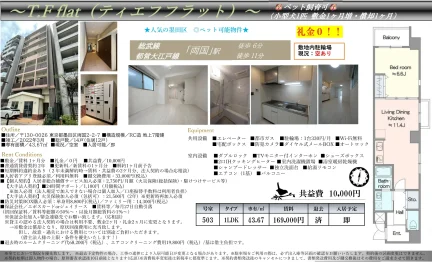 TP Hat 503号 0