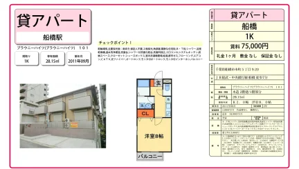 ブラウニーハイツ 101号 0