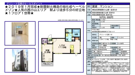 グリシーナ目黒 101 101号 0