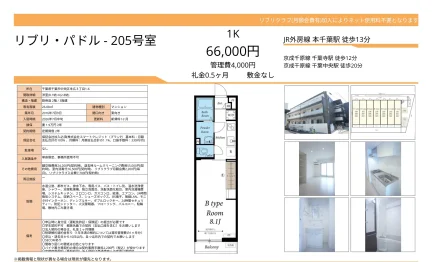 リブリパドル 205号 0