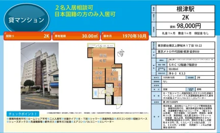 中銀上野パークマンション 0