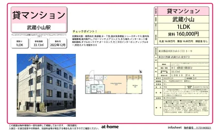 ウェルスクエアイズム武蔵小山(ウェルスクエアイズムムサシコヤマスリー) 301 0
