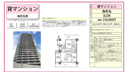 リーフィアタワー海老名アクロスコート(リーフィアタワーエピナアクロスコート) 205 205号 0
