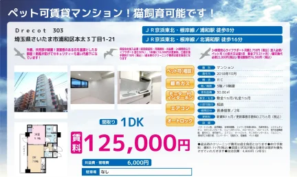 Drecot 303 303 0