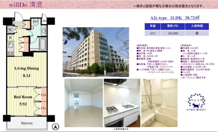 清澄 615号 0