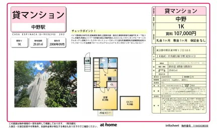 CASA ESPINACA(カーサエスピナカ) 0