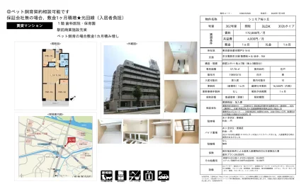 シェモア桜ヶ丘 302号 0