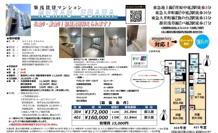 NEXAS EBARA 401号 0