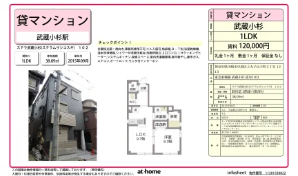 ステラ武蔵小杉 (ステラムサシコスギ) 102 0