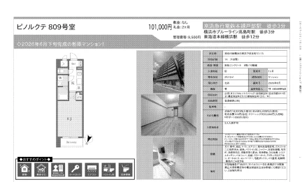 潜在地 809号 0