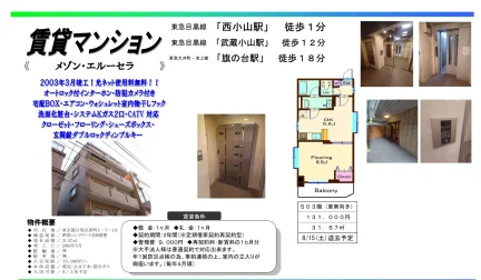 メゾン・エルーセラ 503号 0