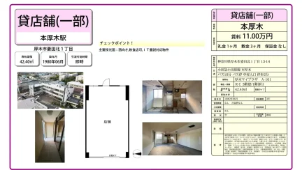 厚木マイプラザ A-101 0