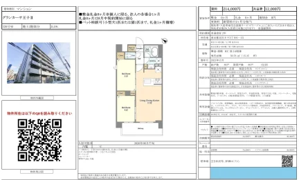 グランカーサ王子Ⅱ 220号 0