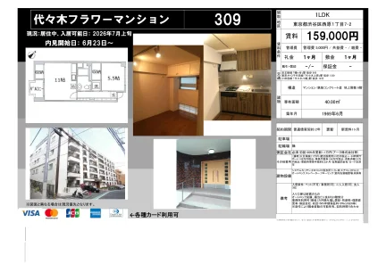 Classic 1-Bedroom Condo in Nishihara 0