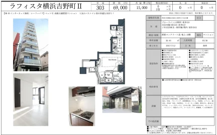 ラフィスタ横浜吉野町Ⅱ 303号 0