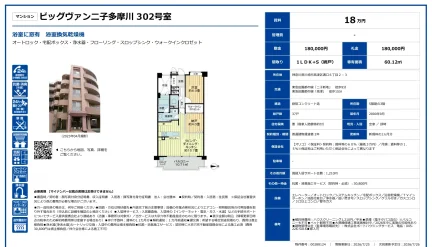 マンション ビッグヴァン二子多摩川 302号室 302号 0